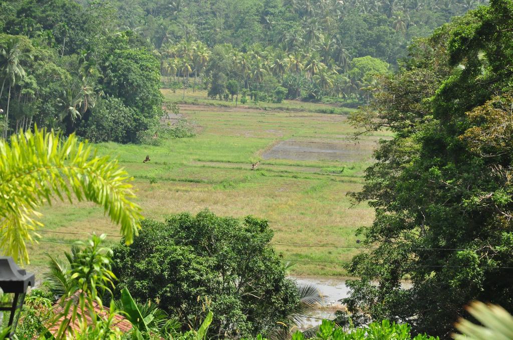 Fort Edge Retreat Unawatuna Eksteriør billede